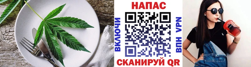 где можно купить   МЕГА зеркало  Canna-Cookies марихуана  Володарск 