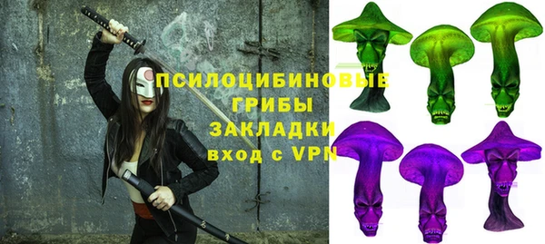 молекула духа Белокуриха