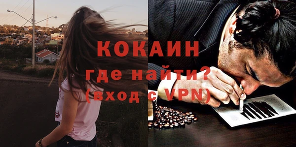 молекула духа Белокуриха