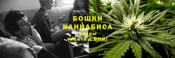молекула духа Белокуриха