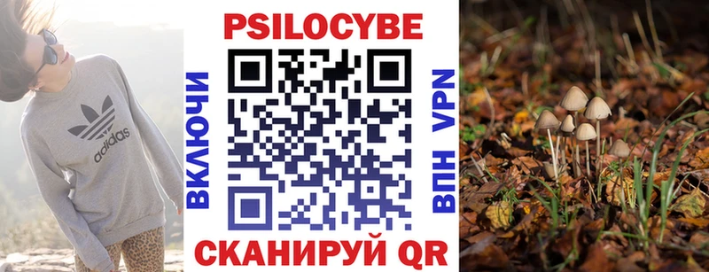 Псилоцибиновые грибы прущие грибы Володарск