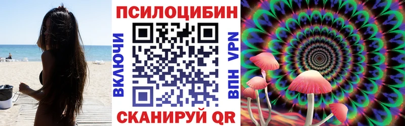 Галлюциногенные грибы Psilocybine cubensis  Володарск 